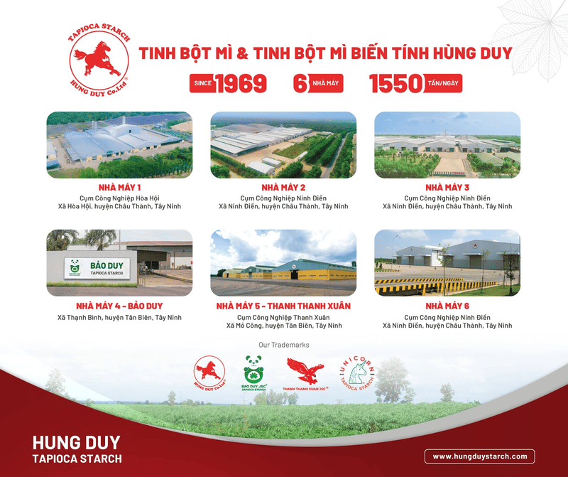 tcvn tinh bột sắn