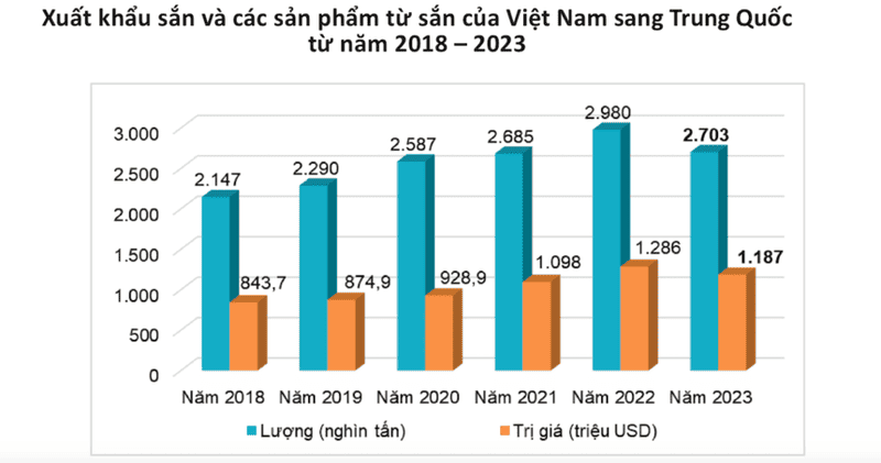 thị trường tinh bột sắn