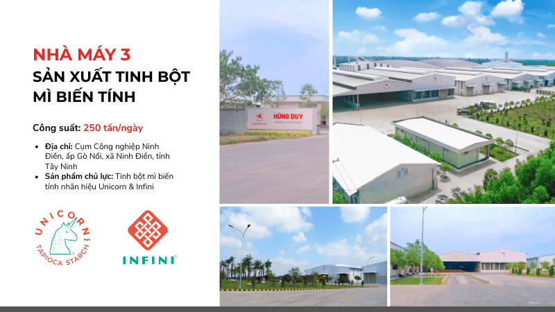 tinh bột biến tính