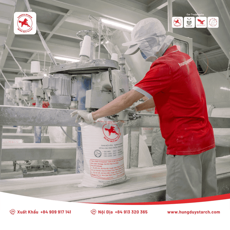 Tinh bột biến tính trong sản xuất giấy