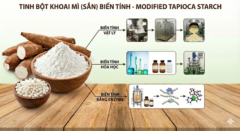 tinh bột mì biến tính