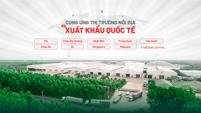 tinh bột sắn biến tính Modified Tapioca Starch