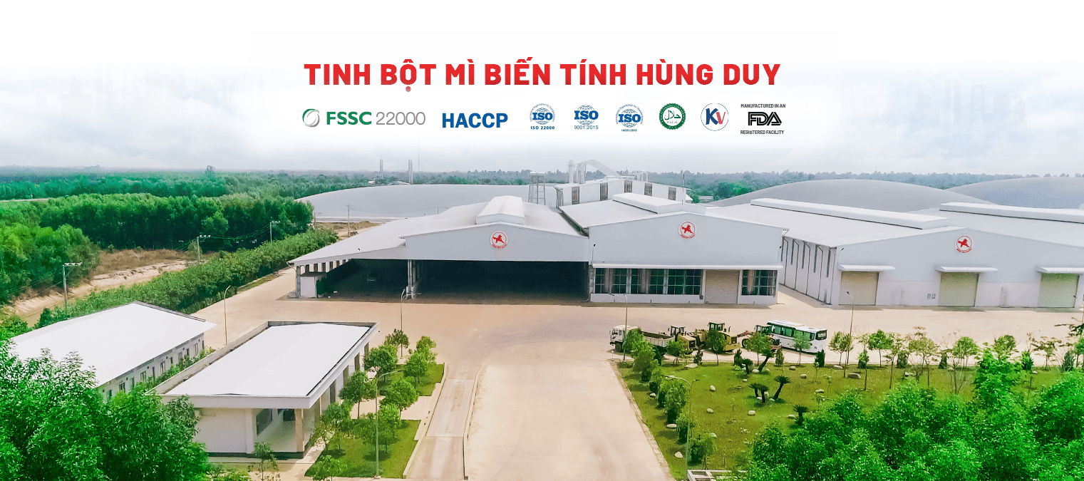 bột mì biến tính dùng trong công nghiệp