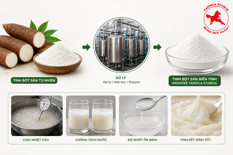 tinh bột biến tính thực phẩm