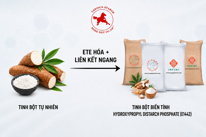 tinh bột biến tính