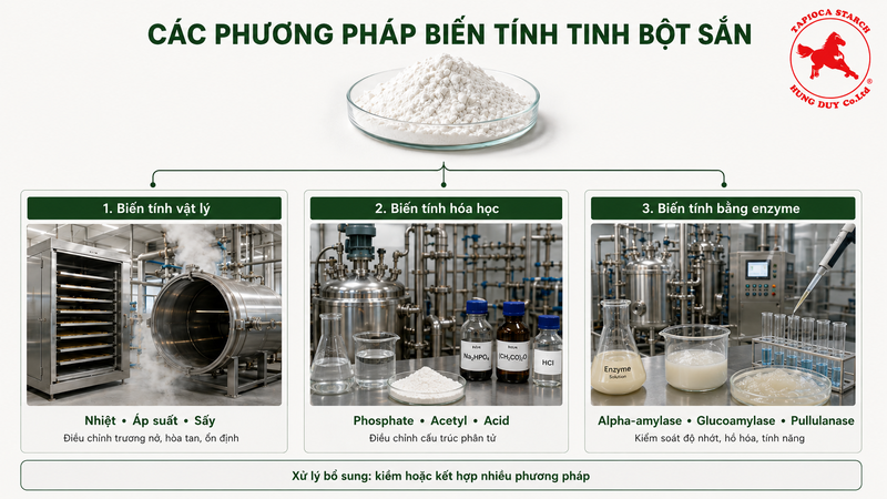 tinh bột sắn biến tính Modified Tapioca Starch