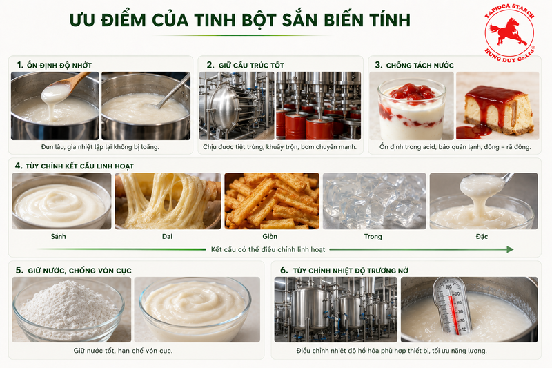 tinh bột sắn biến tính