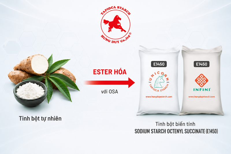 tinh bột mì biến tính