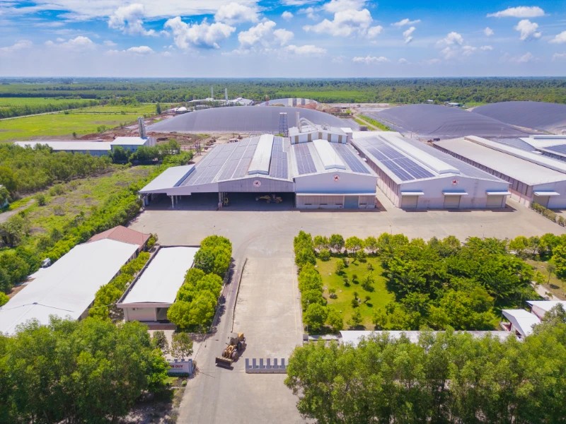 giá tinh bột sắn