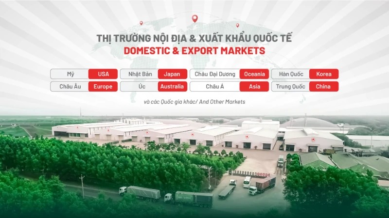 giá tinh bột sắn hôm nay