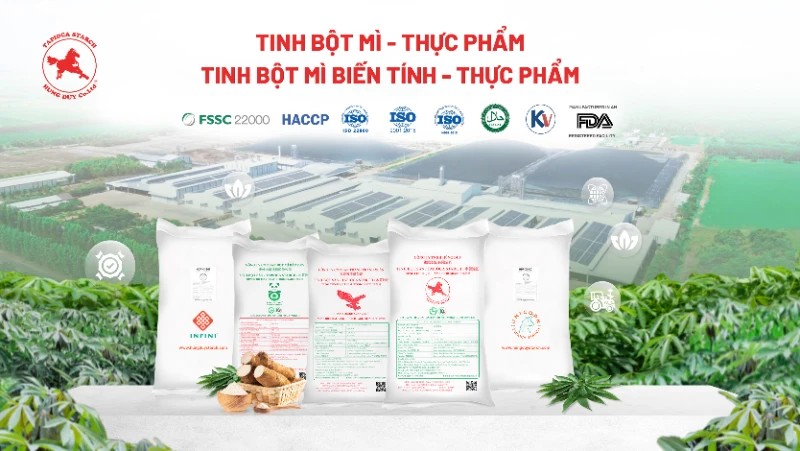 quy trình công nghệ chế biến tinh bột sắn