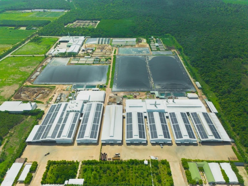 quy trình công nghệ chế biến tinh bột sắn