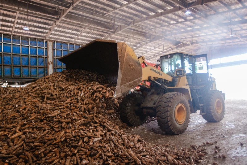 quy trình sản xuất tinh bột khoai mì