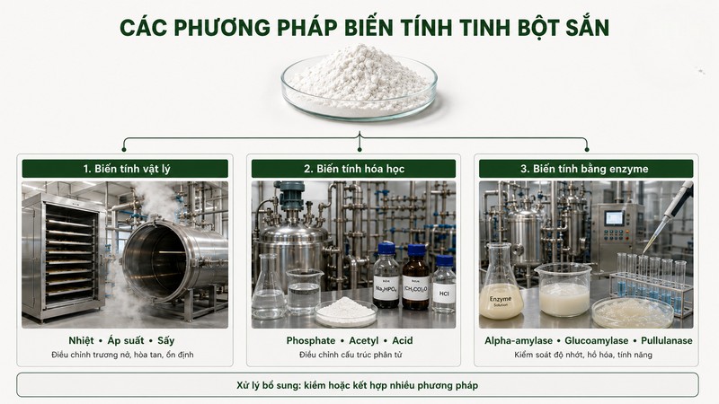 tinh bột sắn biến tính Modified Tapioca Starch
